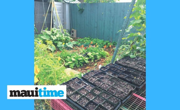 Growing Hope: During a pandemic, gardening takes on new meaning
